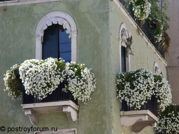 cvetuschiy-balkon-765.jpg