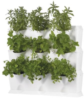 Minigarden_setof3_herbs12.jpg