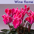minola-wine-flame.jpg