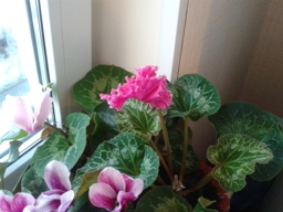 20120424_210504.jpg