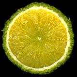 roundlime_fruit2.jpg